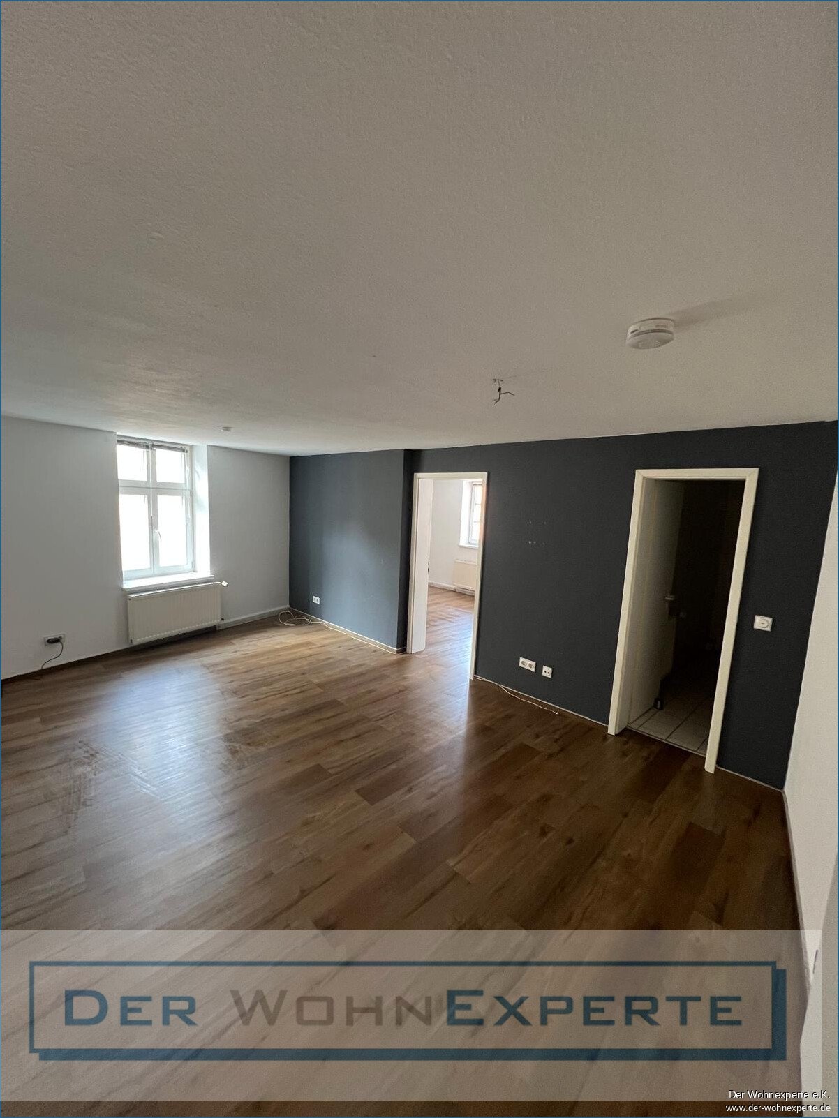 Zimmer1 Zimmer1